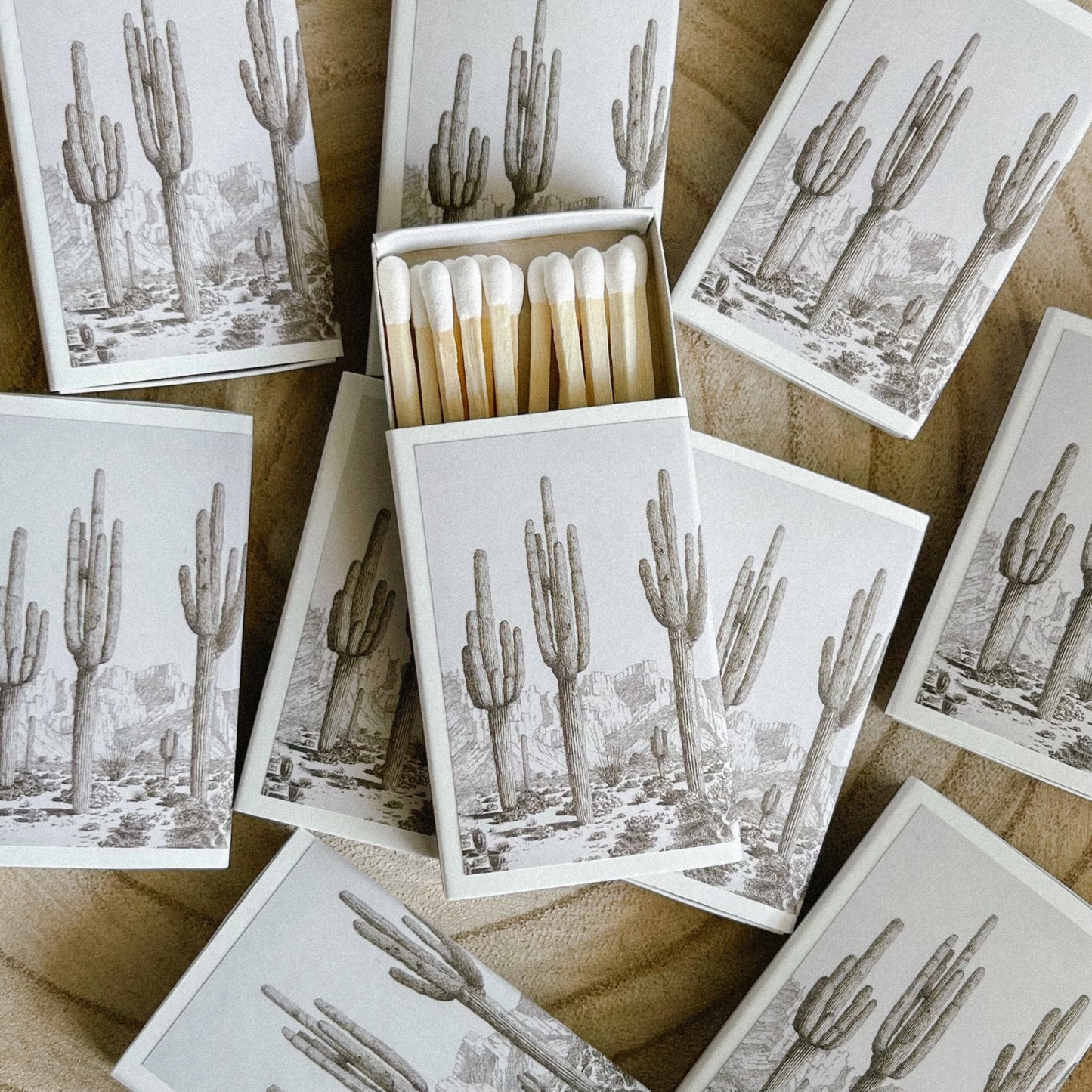 Desert Cactus Match Set